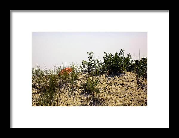 Beach Framed Print featuring the photograph Orange Beach Umbrella by Madeline Ellis