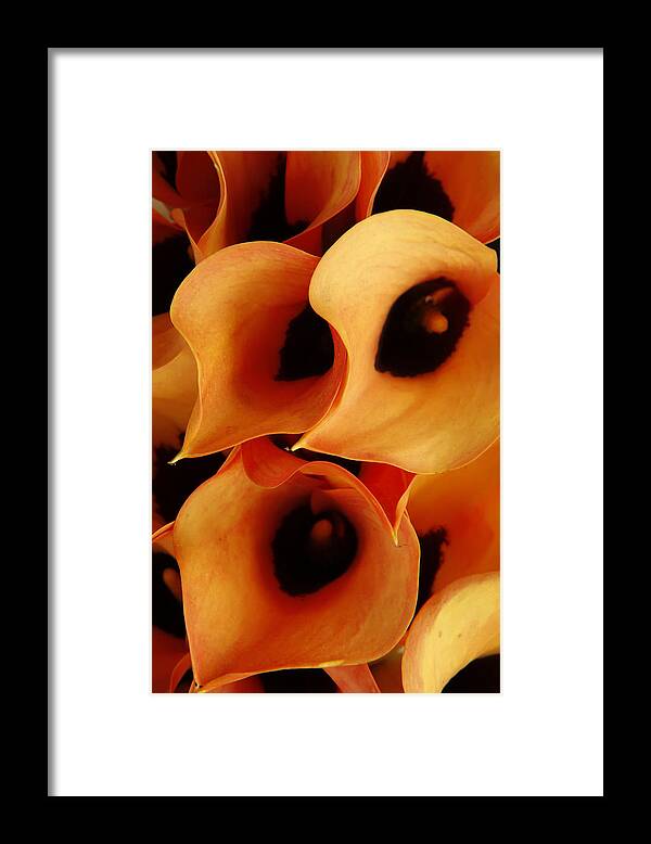 Orange Framed Print featuring the photograph Orange Calla Lillies by KG Thienemann