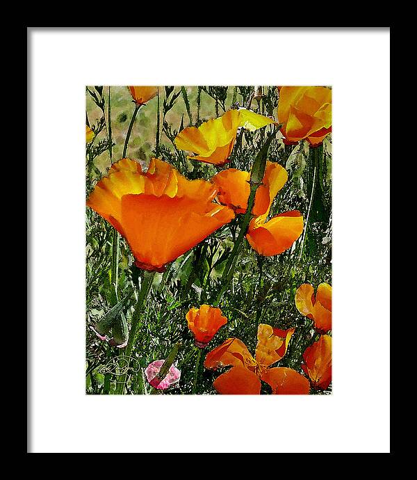 Flowers Framed Print featuring the digital art Orange Poppies by Vicki Lea Eggen