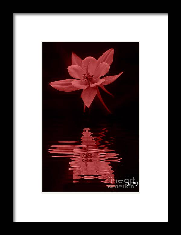 Flower Framed Print featuring the photograph Orange Reflection by Barbara S Nickerson