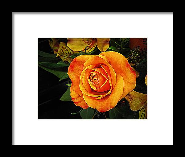 Flowers Framed Print featuring the digital art Orange Rose by Bonita Brandt