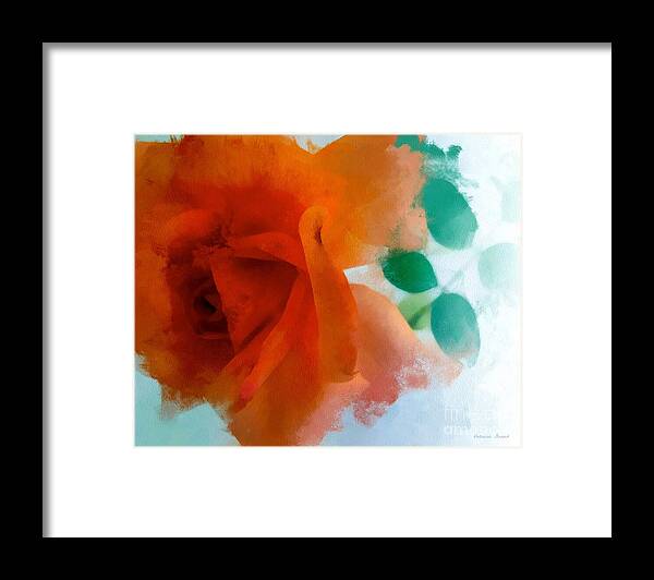Rose Framed Print featuring the photograph Orange Rose by Patricia Strand