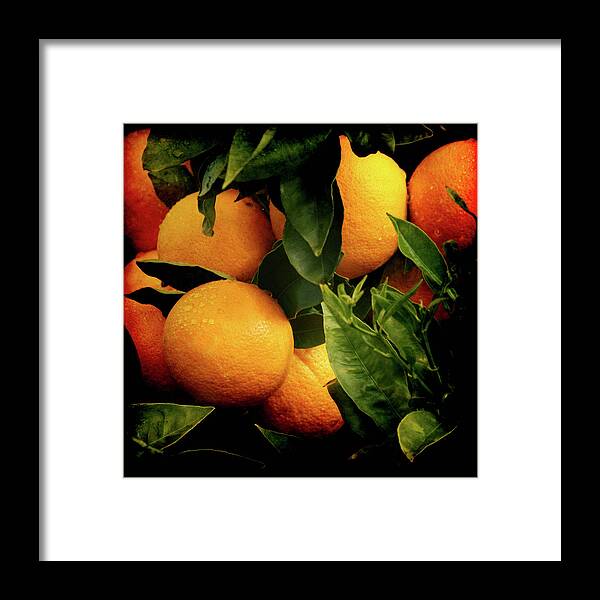 Oranges Framed Print featuring the photograph Oranges by Ernest Echols