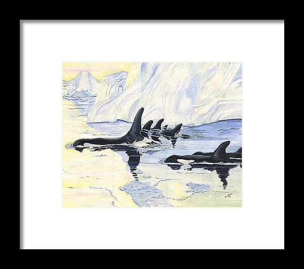 Sea Framed Print featuring the digital art Orcas by Darren Cannell