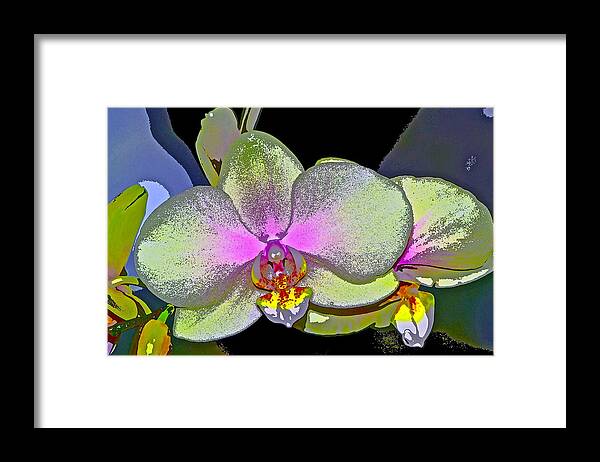 Floral Framed Print featuring the photograph Orchid 2 by Pamela Cooper