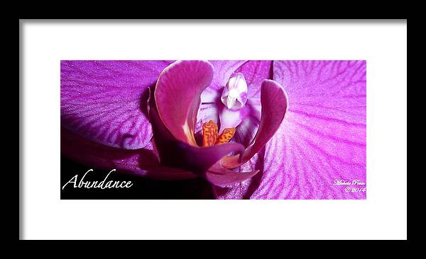 Mug Framed Print featuring the photograph Orchid Abundance by Michele Penn