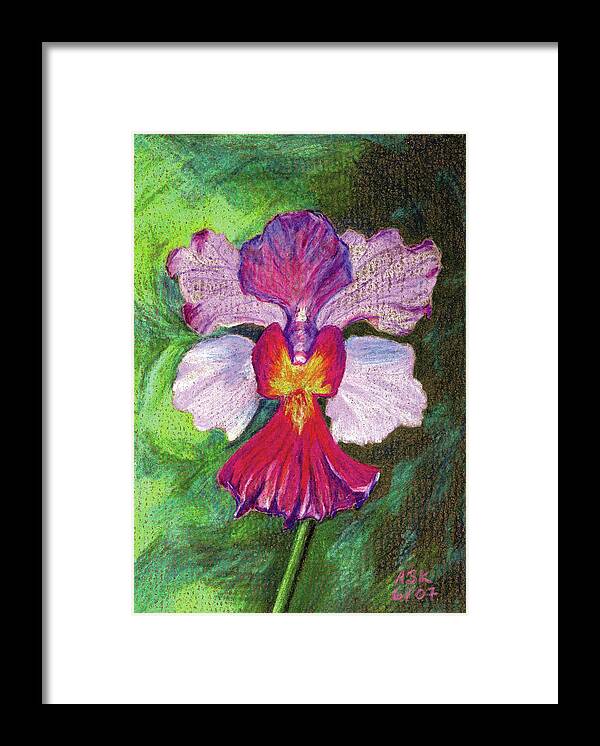 Orchid Framed Print featuring the drawing Orchid by Anne Katzeff