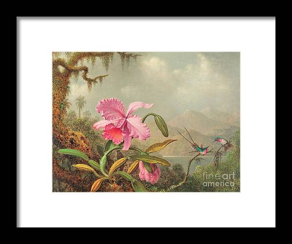 Uspd: Reproduction Framed Print featuring the painting Orchids and hummingbirds by Thea Recuerdo