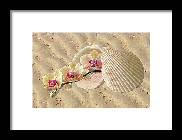 Beach Framed Print featuring the photograph Orchids and Shells On The Beach by Gill Billington