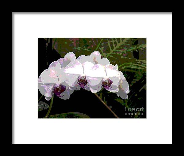 Moth Orchids Framed Print featuring the photograph Orchids Impressionistic by Alice Terrill