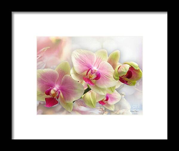 Orchids Framed Print featuring the photograph Pretty Orchid by Morag Bates