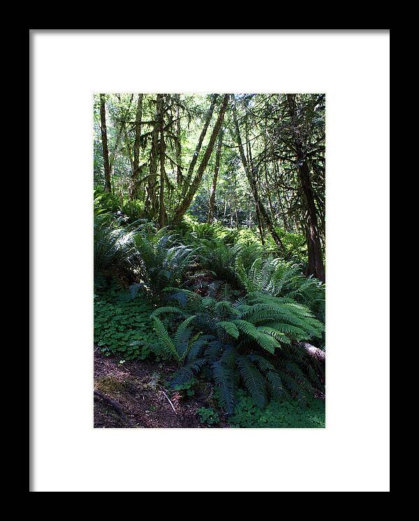 Oregon Framed Print featuring the photograph Oregon #1 by Ben Upham III