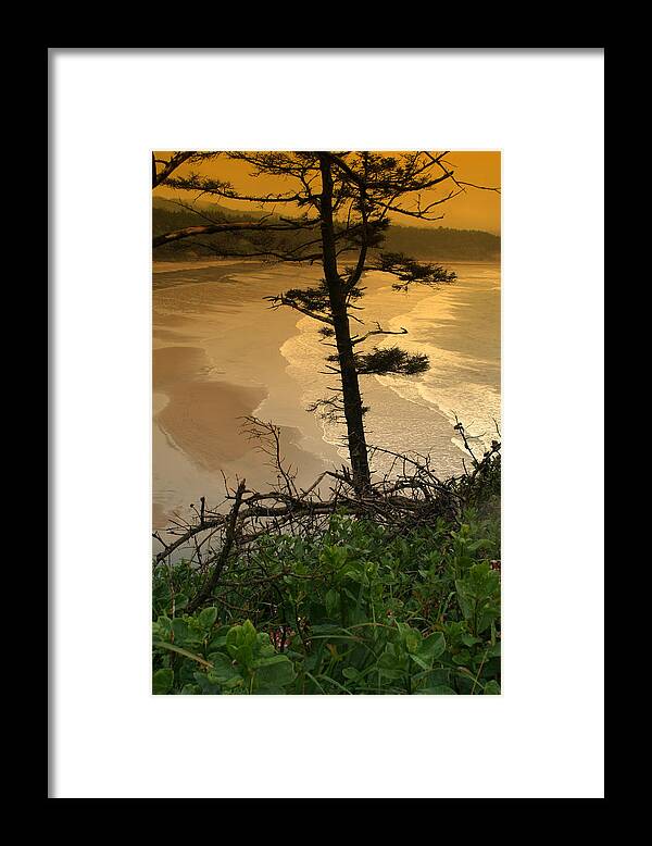 Oregon Framed Print featuring the photograph Oregon Coast OO44 by Mary Gaines