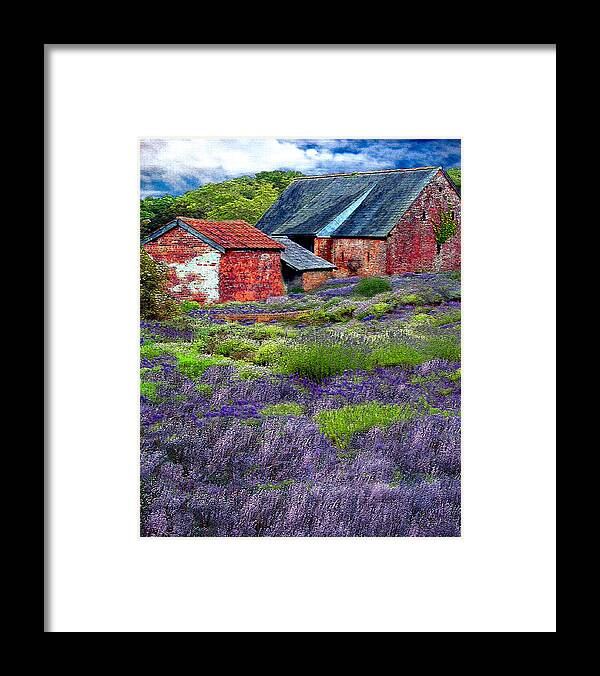 Lavender Framed Print featuring the mixed media Oregon Lavender Farm by Michele Avanti