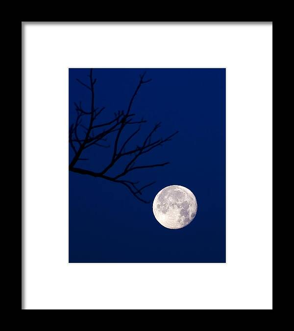 Moon Framed Print featuring the photograph Ornament by Alan Raasch