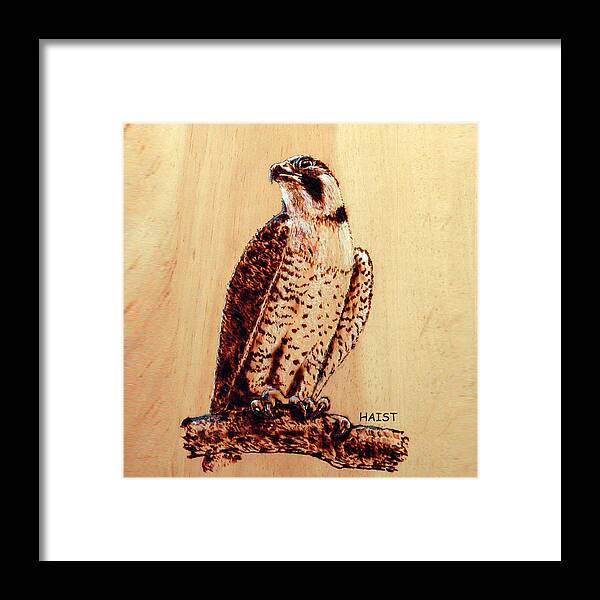 Osprey Framed Print featuring the pyrography Osprey 2 Pillow/bag by Ron Haist