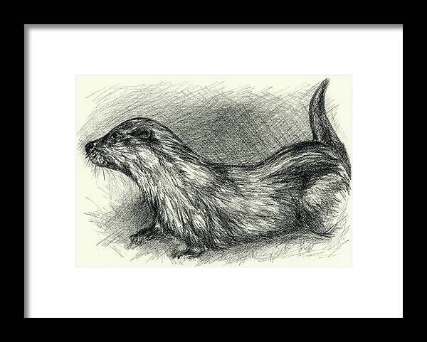 Animal Framed Print featuring the drawing Otter in Charcoal by MM Anderson