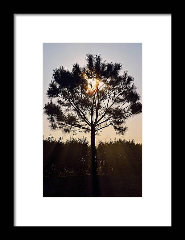Sunrise Framed Print featuring the photograph Our Borrowed Earth by Melanie Moraga