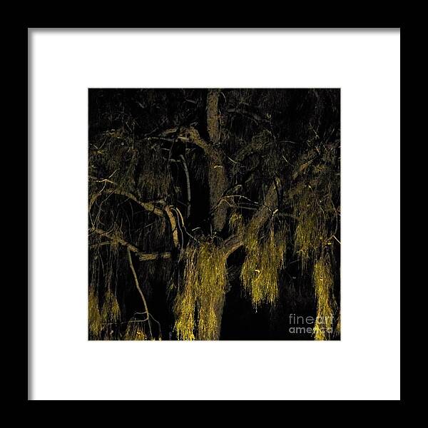  Framed Print featuring the photograph Out of the dark by Nigel Photogarphy