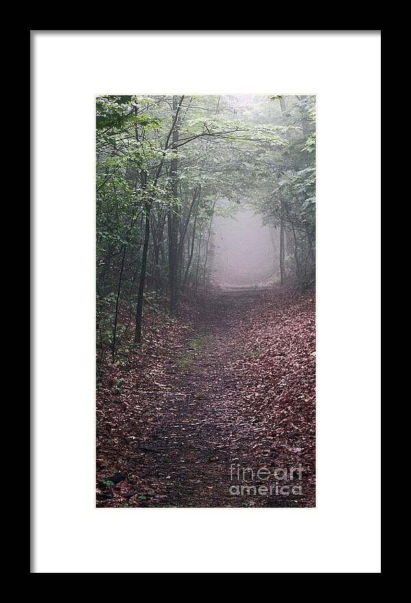 Shenandoah National Park Framed Print featuring the photograph Out of the Fog by Scott Heister