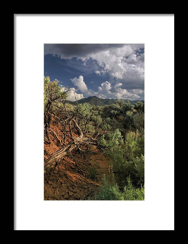 Landscape Framed Print featuring the photograph Out On The Mesa 2 by Ron Cline
