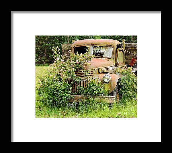 Chevy Pickup Framed Print featuring the photograph Out to Pasture by Stephanie Petter Garrett