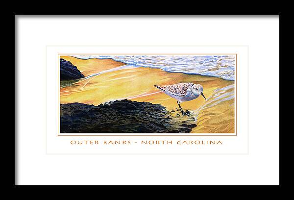 Sanderling Framed Print featuring the mixed media Outer Banks Sanderling by Bob Nolin