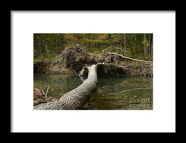 Mountain Streams Framed Print featuring the photograph Over On Clover by Randy Bodkins