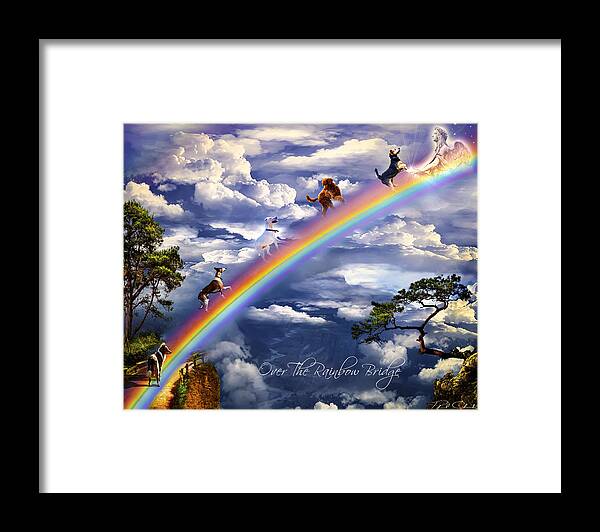 Rainbow Framed Print featuring the photograph Over The Rainbow Bridge by Phil Clark