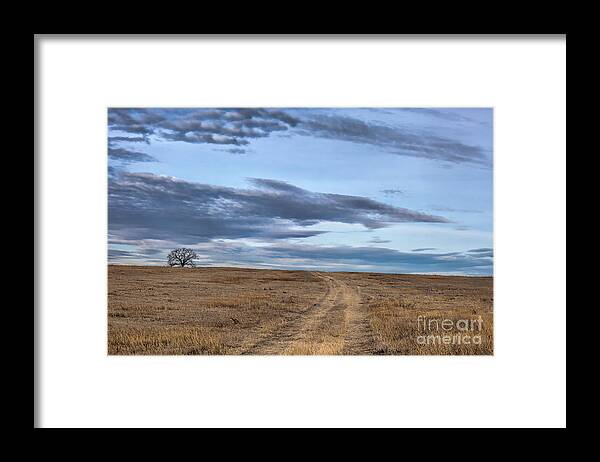 Lone Tree Landscape Framed Print featuring the photograph Over Yonder by Jim Garrison