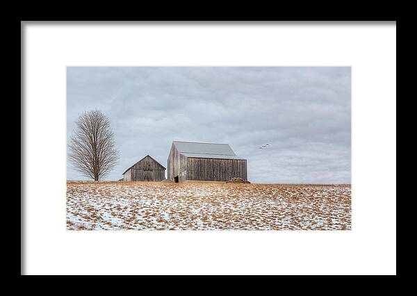Barn Framed Print featuring the photograph Overcast by Bill Wakeley