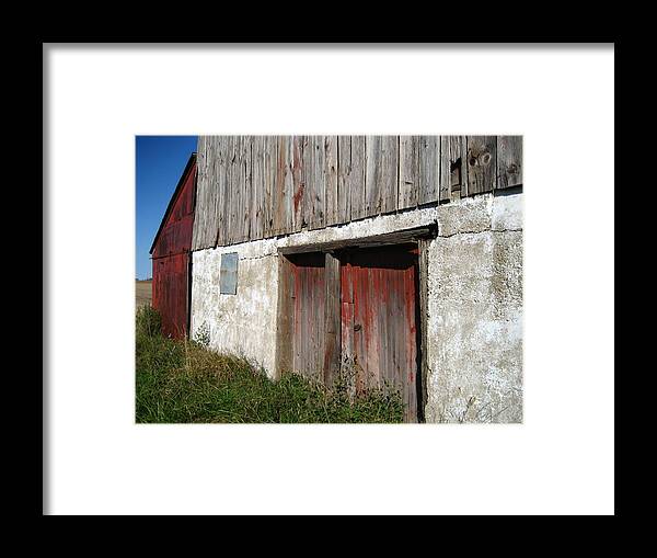 Barn Framed Print featuring the photograph Overgrown by Sheryl Burns