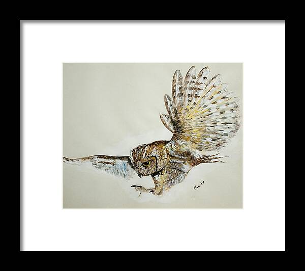 Feathers Framed Print featuring the painting Owl in flight by Alan Pickersgill