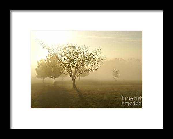 Fog Framed Print featuring the photograph Ozarks Misty Golden Morning Sunrise by Jennifer White