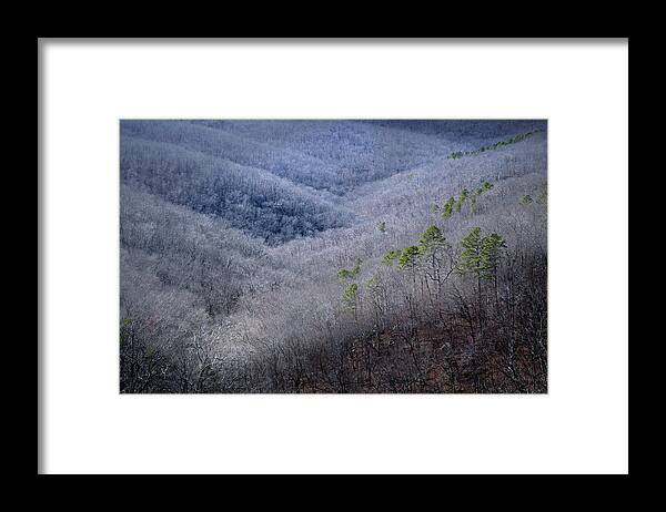 Autumn Framed Print featuring the photograph Ozarks Trees #4 by David Chasey