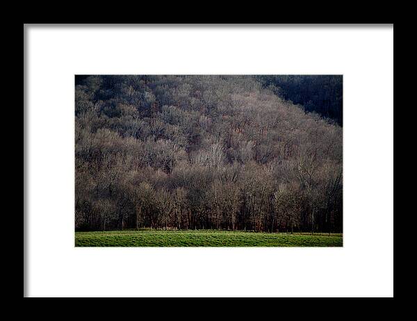 Tree Line Framed Print featuring the photograph Ozarks Trees by David Chasey