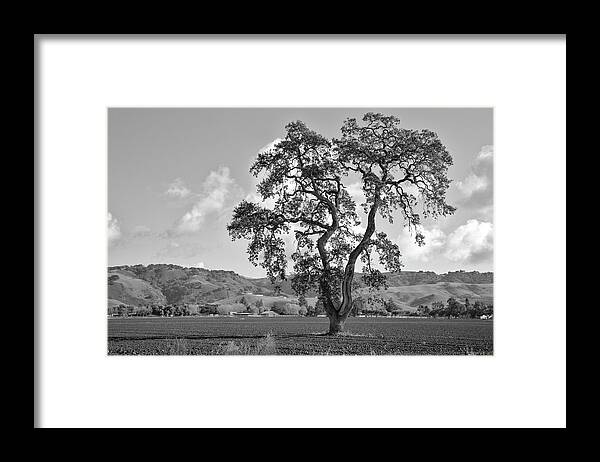 California Framed Print featuring the photograph Pacheco Pass by Sonny Marcyan