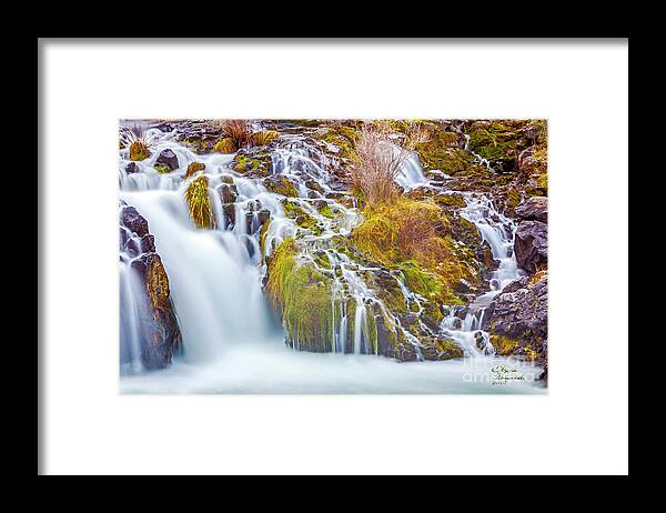 Pacific Northwest Framed Print featuring the photograph Pacific Northwest by David Millenheft