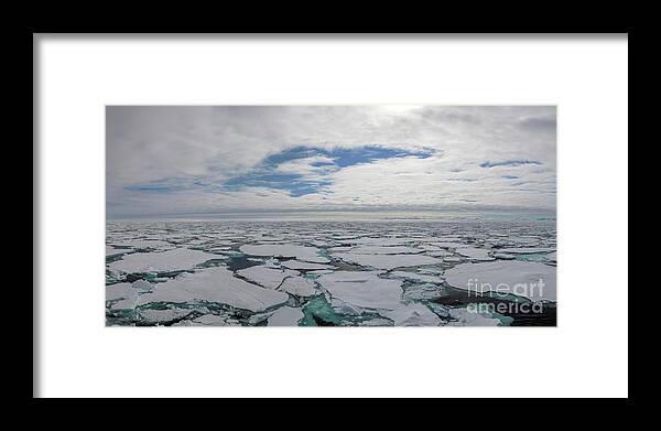 Arctic Framed Print featuring the photograph Pack Ice by Brian Kamprath