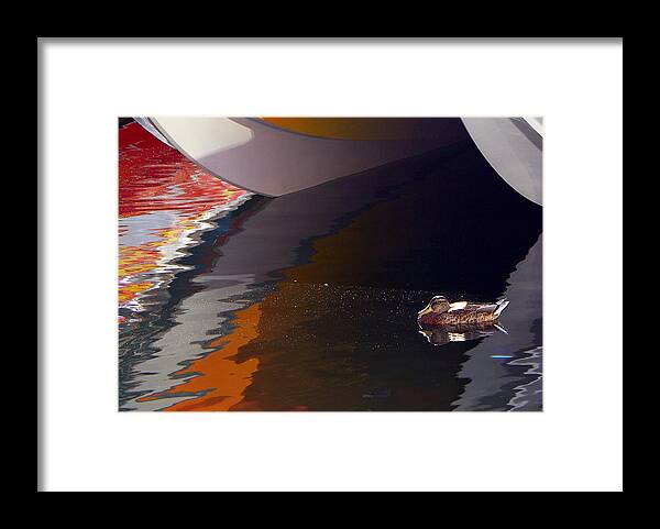 Duck Framed Print featuring the photograph Paddling Among the Colours by Paul Wash