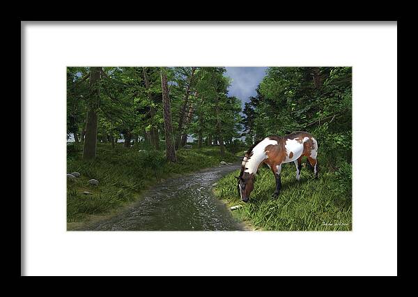 Horse Framed Print featuring the digital art Paint Horse by the Forest Stream by Jayne Wilson