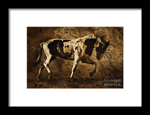 Horse Framed Print featuring the photograph Paint horse by Dimitar Hristov
