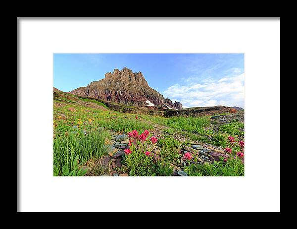 Clements Mountain Framed Print featuring the photograph Paintbrush on the slope of Clements Mountain by Jack Bell
