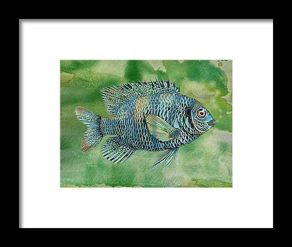Bluegill Framed Print featuring the painting Painted Bluegill Fish by Sandi OReilly