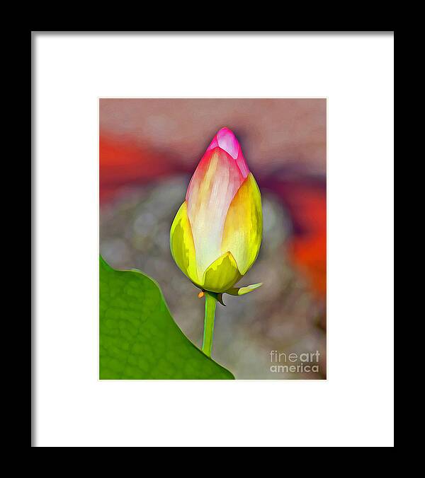 Florida Framed Print featuring the photograph Painted Exotic Bud by Stephen Whalen