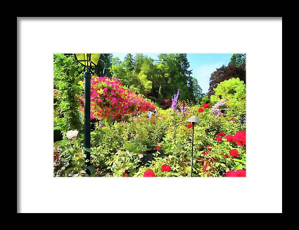 Butchart Framed Print featuring the photograph Painted Gardens by Lawrence Christopher