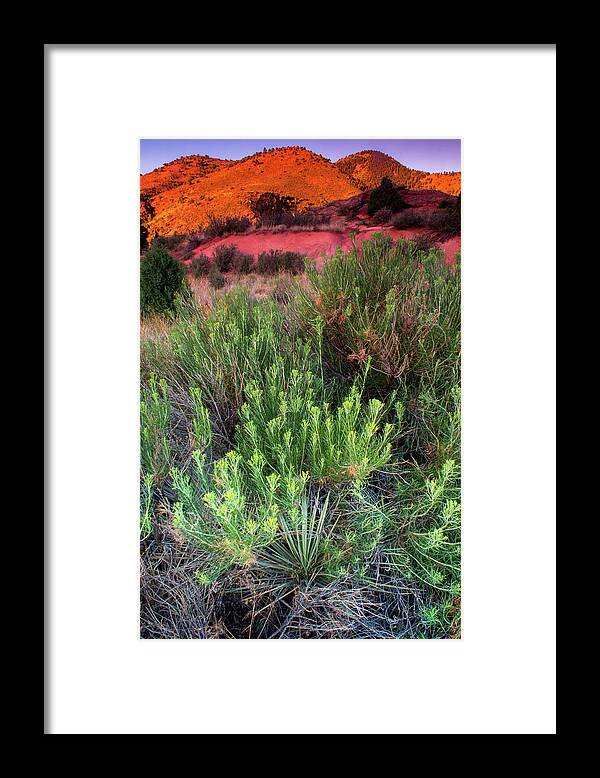 Front Range Framed Print featuring the photograph Painted Hills by John De Bord