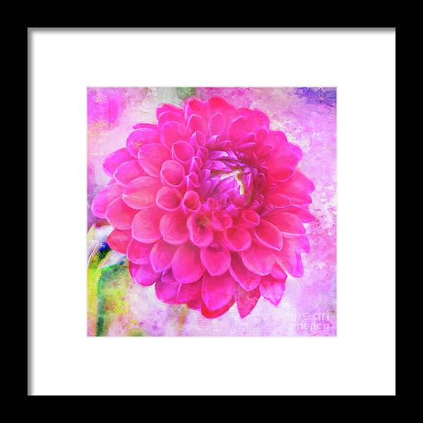 Pompom Dahlia Framed Print featuring the photograph Painted Pompom Dahlia with the Works by Anita Pollak