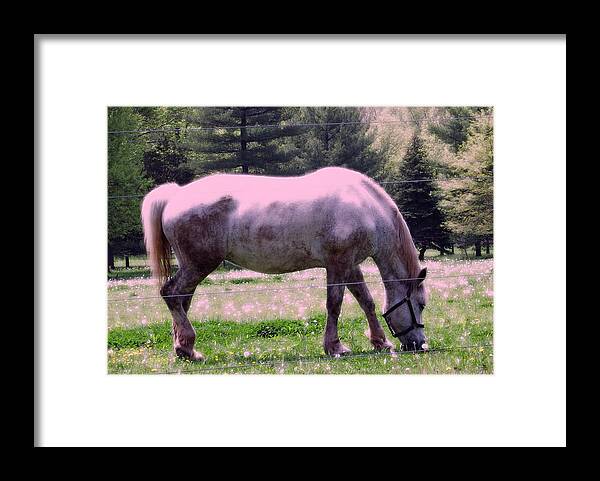 Horse Framed Print featuring the photograph Painted Pony by Susan Carella