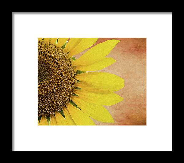 Sunflower Framed Print featuring the photograph Painted Sunflower by Cathy Kovarik